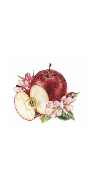 Apple Floral Curtain Dinner/ Guest Napkins 16 Ct