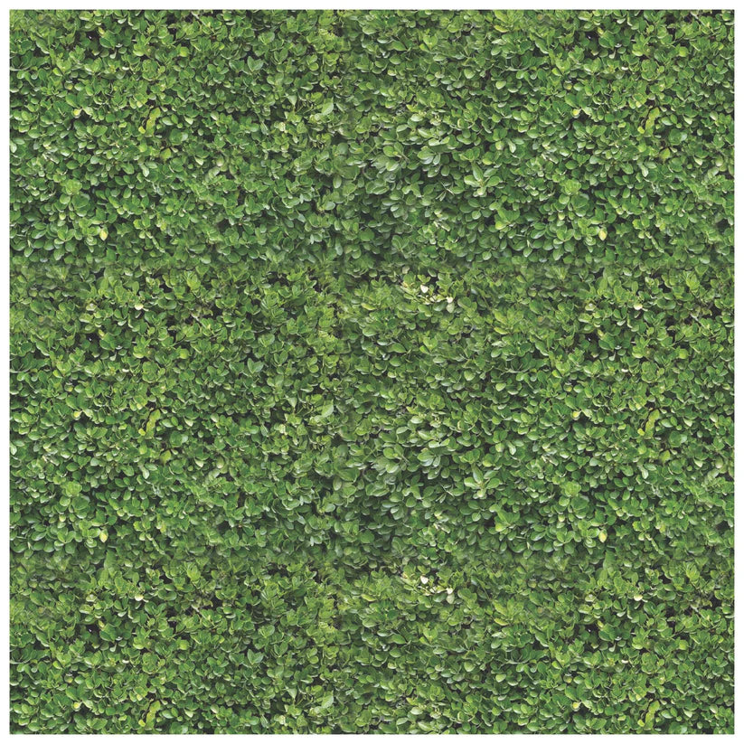 Hampton Hedge Square Disposable Chargers - 24 Pack