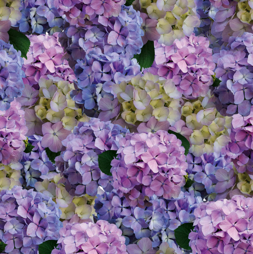 Nantucket Floral Square Disposable Chargers - 24 Pack