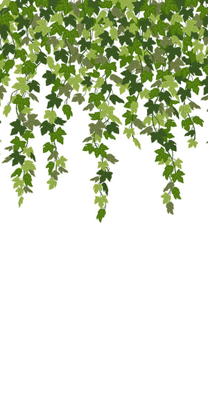Hanging Ivy Curtain Dinner/ Guest Napkins 16 Ct