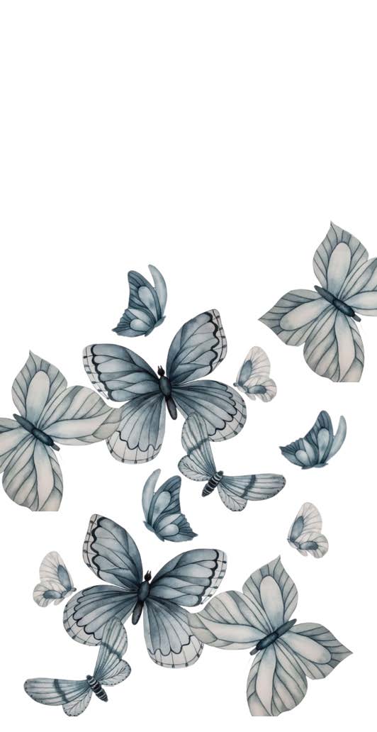 Monochrome Butterflies Dinner/ Guest Napkins 16 Ct
