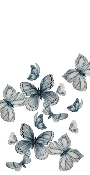 Monochrome Butterflies Dinner/ Guest Napkins 16 Ct