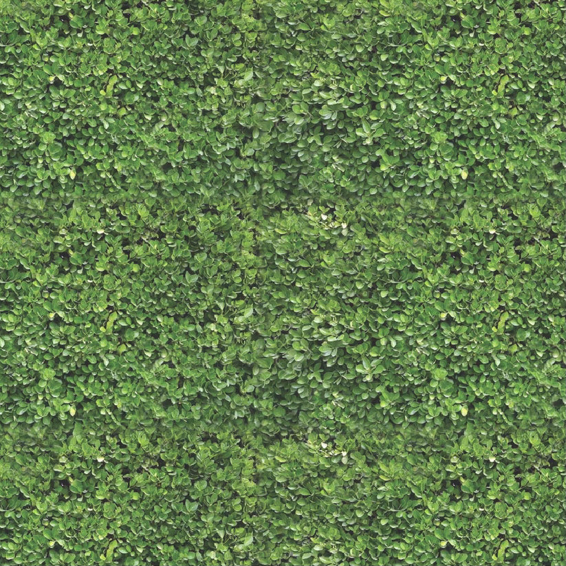 Hampton Hedge Square Disposable Chargers - 24 Pack