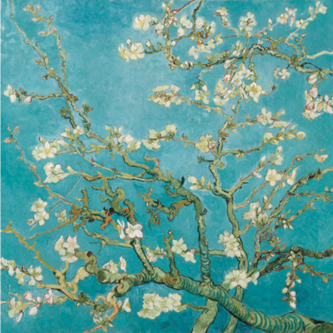Almond Blossom Printed Lunch Napkins - 20 Count