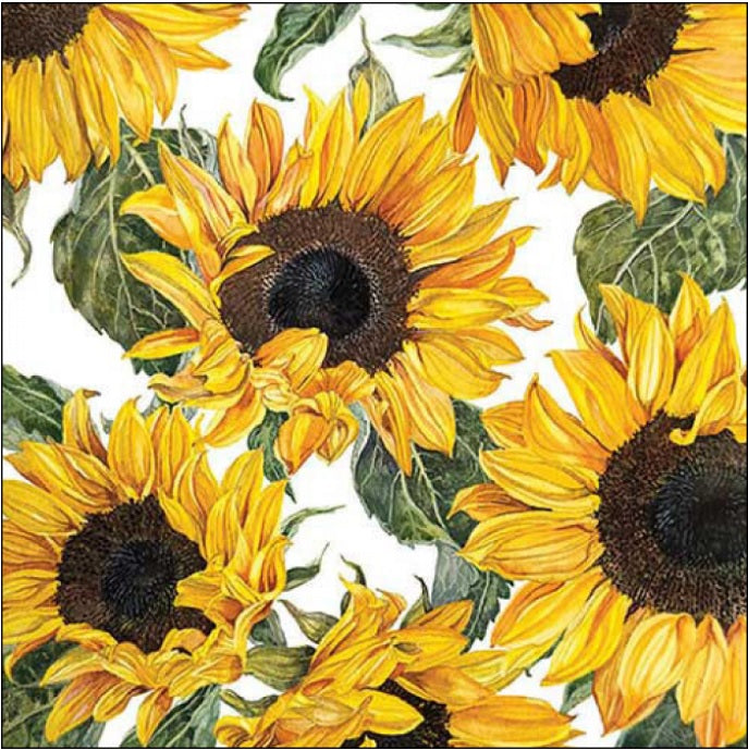 Sunflowers Blossoming Printed Lunch Napkins - 20 Count
