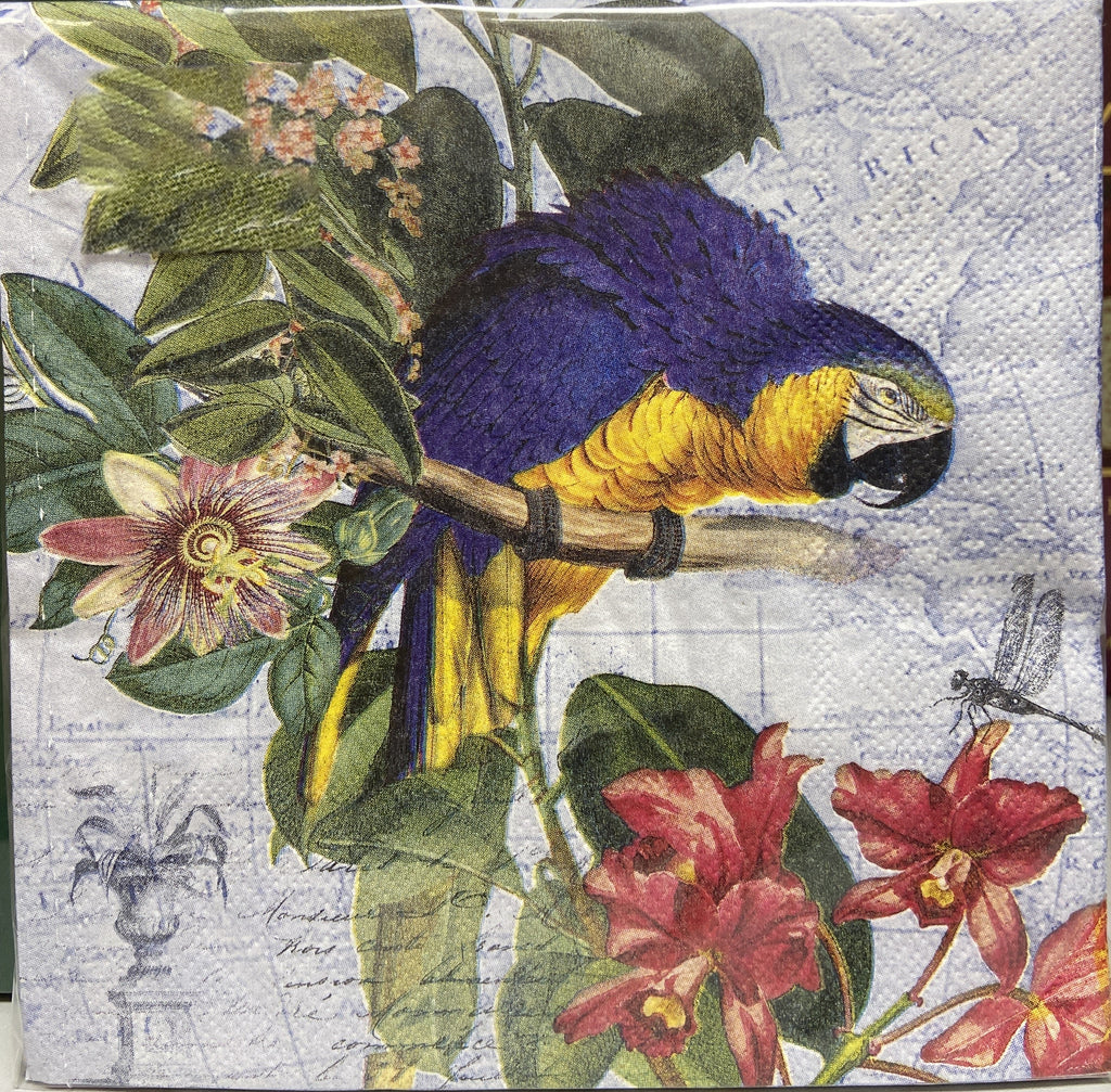 Macaw Printed Lunch Napkins - 20 Count