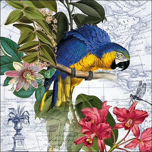 Macaw Printed Lunch Napkins - 20 Count