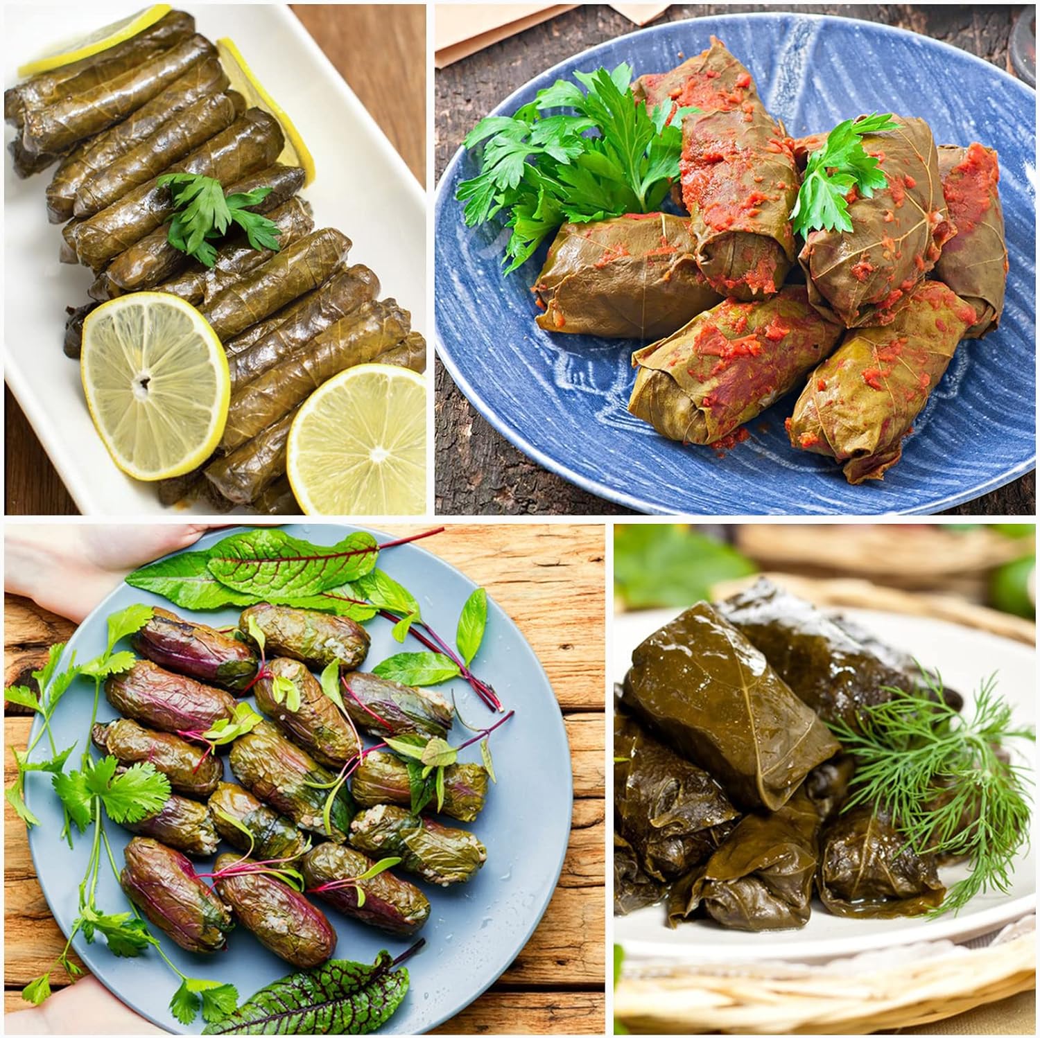 Yebra Stuffed Grape Leaves Wrapping & Rolling Machine (Dolmas)