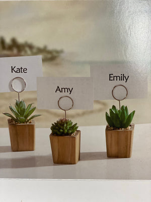 Succulent table signs