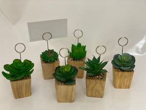 Succulent table signs