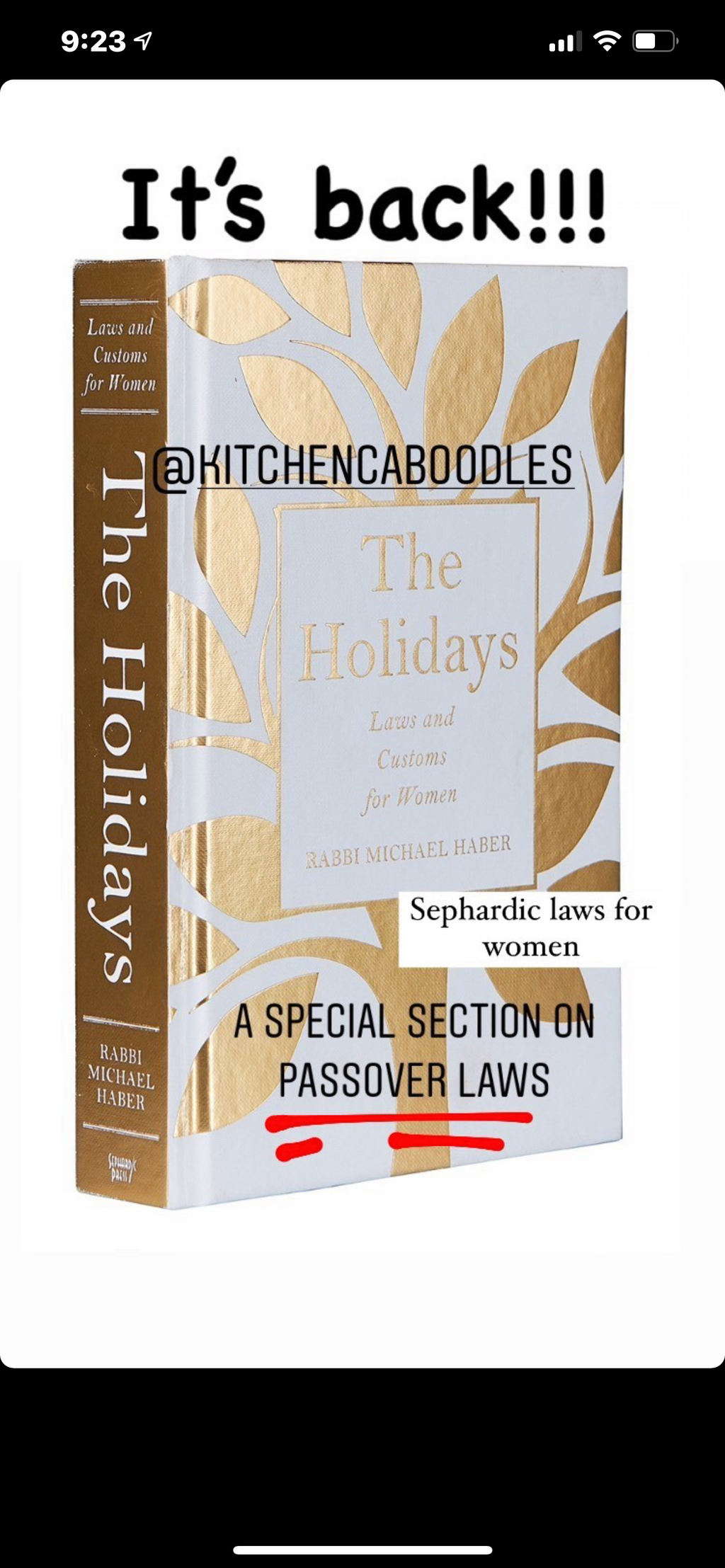 The holidays book by Rabbi Haber